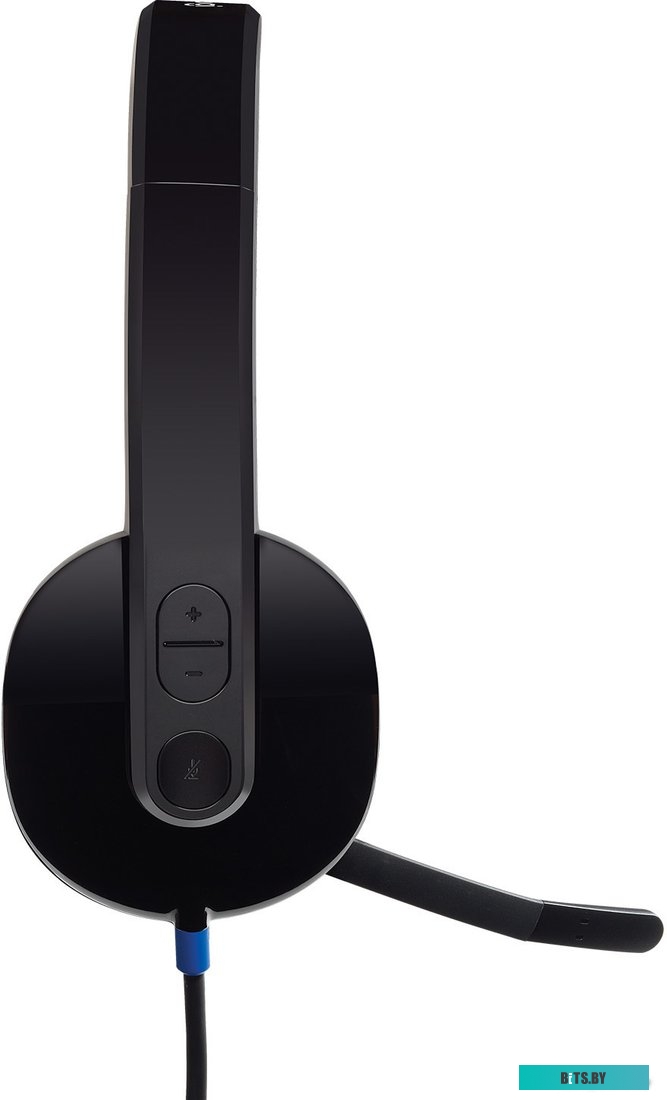 Наушники (Гарнитура) Logitech USB Headset H540 (981-000480)