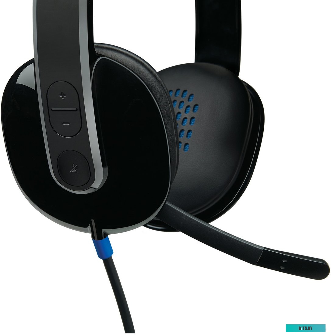 Наушники (Гарнитура) Logitech USB Headset H540 (981-000480)