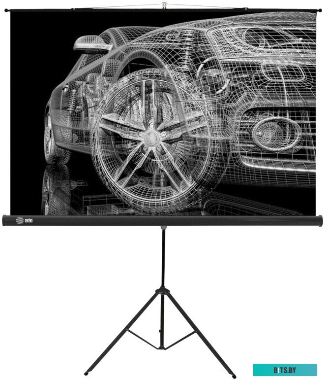 Экран для проекторов Cactus Triscreen CS-PST-124x221