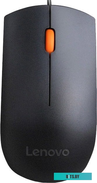 Мышь Lenovo 300 USB Mouse <GX30M39704>