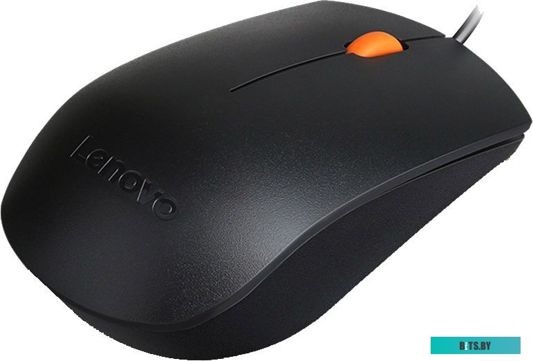 Мышь Lenovo 300 USB Mouse <GX30M39704>