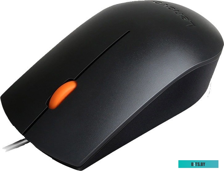 Мышь Lenovo 300 USB Mouse <GX30M39704>