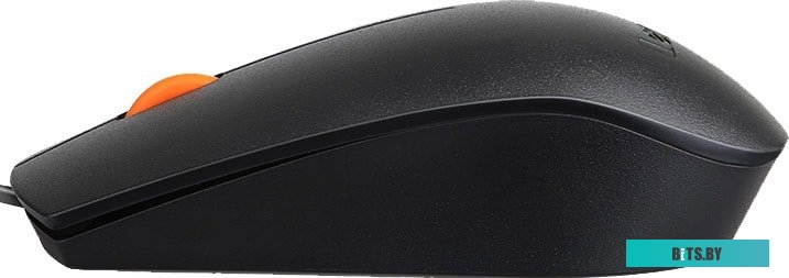 Мышь Lenovo 300 USB Mouse <GX30M39704>