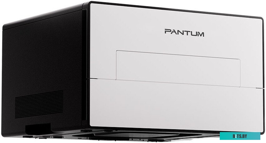 Pantum BP4211DN