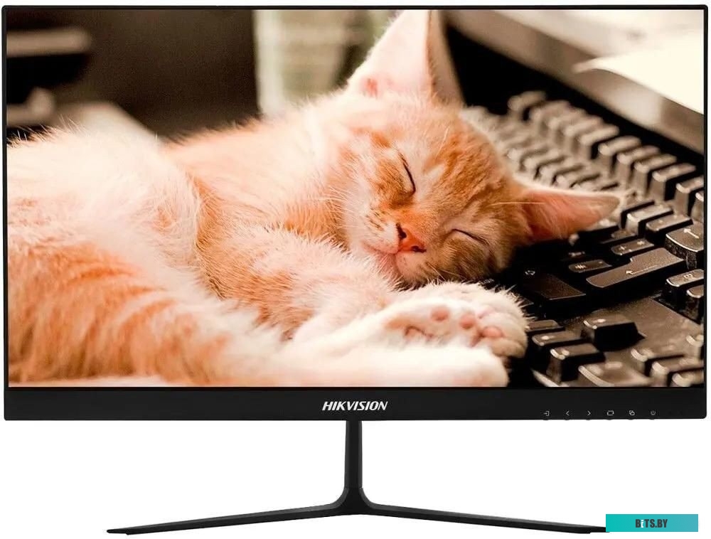 DS-D5022FN10 Монитор Hikvision 21.5" DS-D5022FN10 черный TFT LED 6.5ms 16:9 HDMI матовая 250cd 178гр/178гр 1920x1080 VGA FHD 2.5кг
