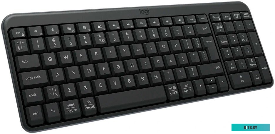 Клавиатура Logitech K250 (графит) 920-013452