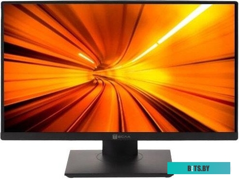 Моноблок ТЕСЛА P24BP 2416500