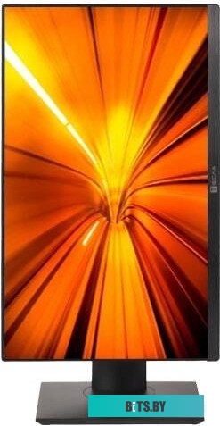 Моноблок ТЕСЛА P24BP 2416500