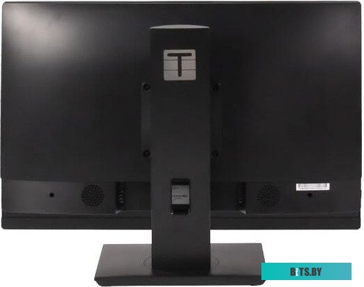 Моноблок ТЕСЛА P24BP 2416500