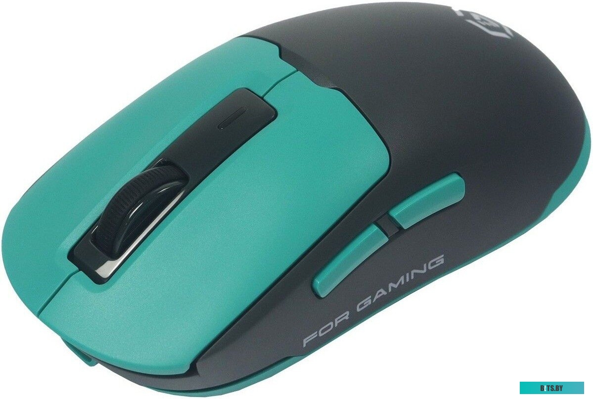 Raskat MG027TR