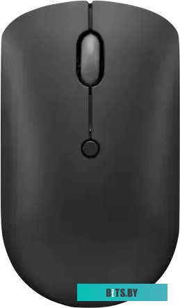Мышь Lenovo 400 USB-C Wireless GY51D20865