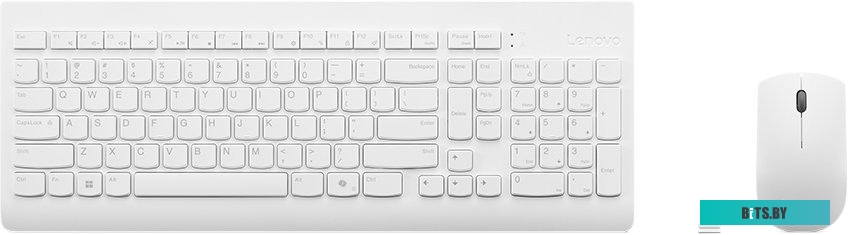 Комплект (клавиатура + мышь) Lenovo 510 Wireless Combo (белый) <GX31F38001>