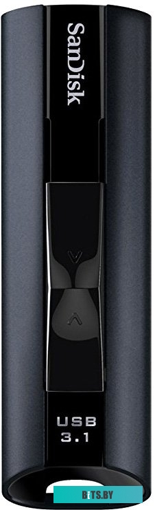 USB накопитель (Флешка) SanDisk Extreme PRO 1TB <SDCZ880-1T00-G46>
