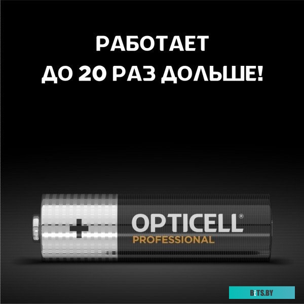 Батарейки OPTICELL PROFESSIONAL AA 4шт 5052001