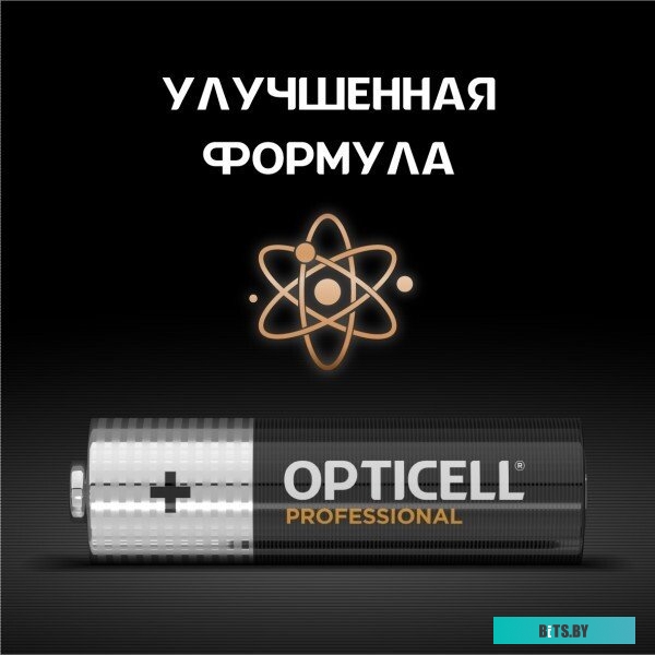 Батарейки OPTICELL PROFESSIONAL AA 4шт 5052001