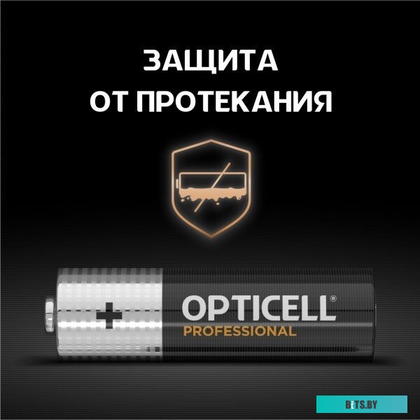 Батарейки OPTICELL PROFESSIONAL AA 4шт 5052001