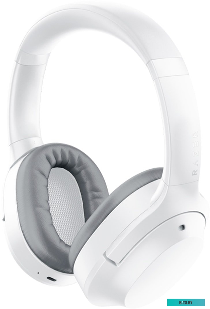 Наушники (Гарнитура) Razer Opus X Mercury <RZ04-03760200-R3M1>