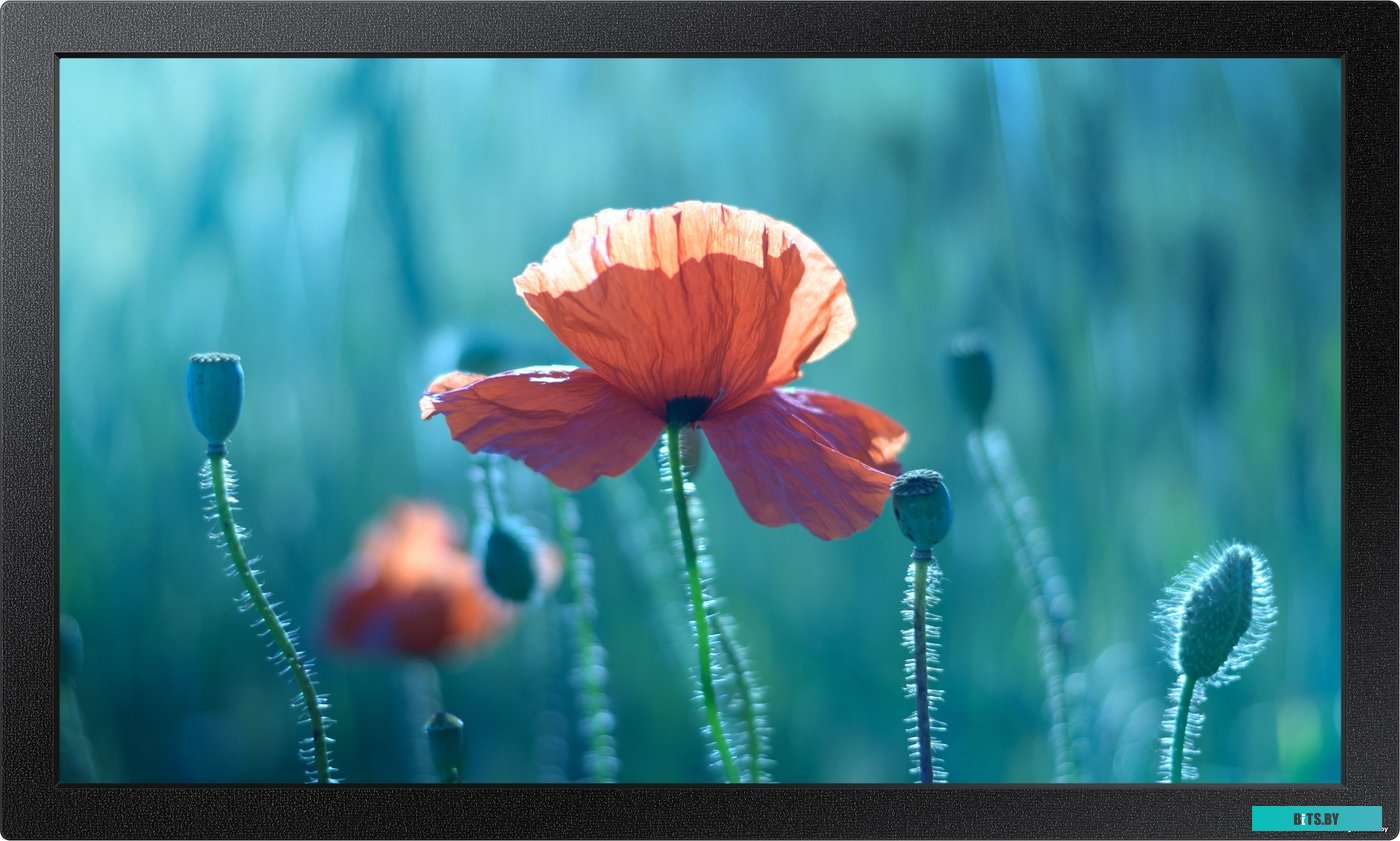 Информационная панель Samsung QB13R