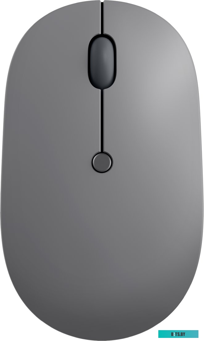 GY51C21210 Lenovo Go USB-C GY51C21210